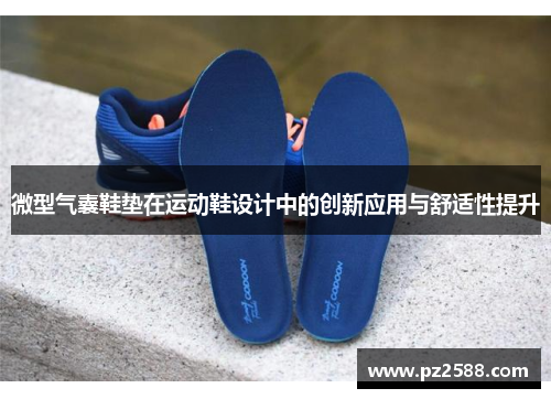微型气囊鞋垫在运动鞋设计中的创新应用与舒适性提升